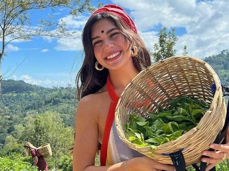 Exploring a Tea Factory in Sri Lanka: A Journey Through Ceylon's Finest